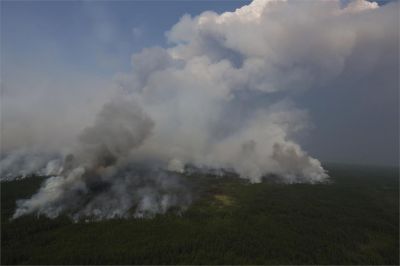 Авиалесоохрана: информация о лесных пожарах в РФ на 10 сентября 2022 года - новости экологии на ECOportal