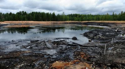 Пермские ученые выявили наиболее эффективные «уничтожители» нефтяных отходов - новости экологии на ECOportal