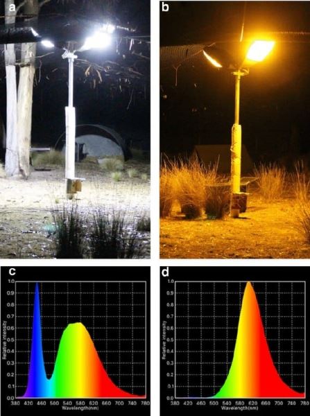 Синий свет LED-ламп подавляет синтез мелатонина у диких животных - новости экологии на ECOportal