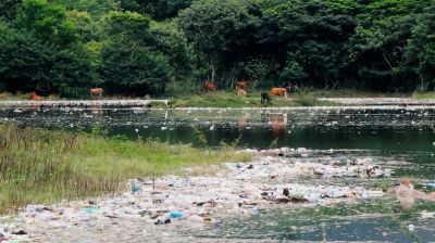 Жители Эль-Сальвадора жалуются на тонны плавающего пластикового мусора - новости экологии на ECOportal
