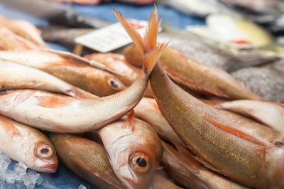 Морепродукты отнесли к экологически чистому продовольствию - новости экологии на ECOportal